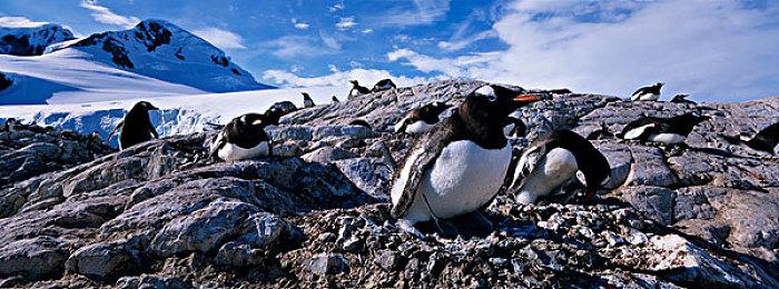 《湮灭之潮》消息汇总：单机买断无内购 Boss战很难