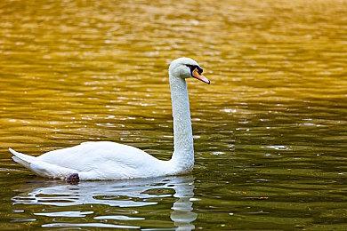 索尼谈《死亡搁浅》投奔微软通行证：并未参与此事